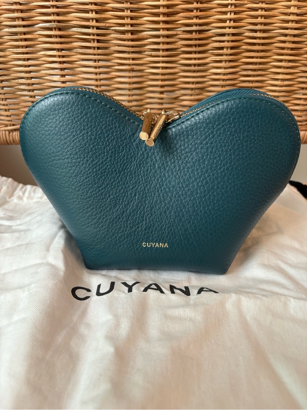 Cuyana Heart Mini Case